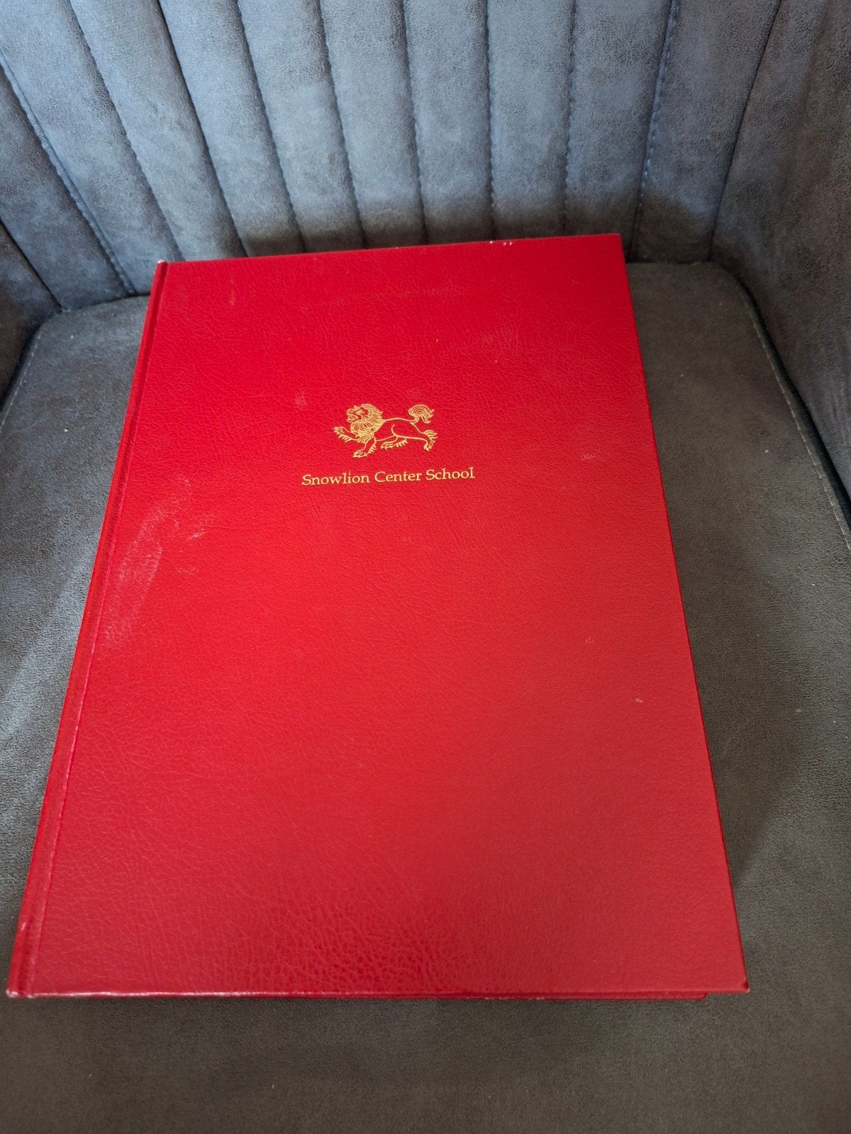 Snowlion Center School Thesis Boek - 1996-2000 Class, Ophalen of Verzenden, Zo goed als nieuw, Gamma, Diverse Auteurs