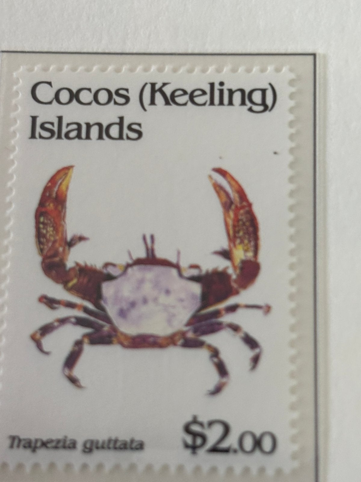 Kokos island 1992 serie van zes, Ophalen of Verzenden, Postfris