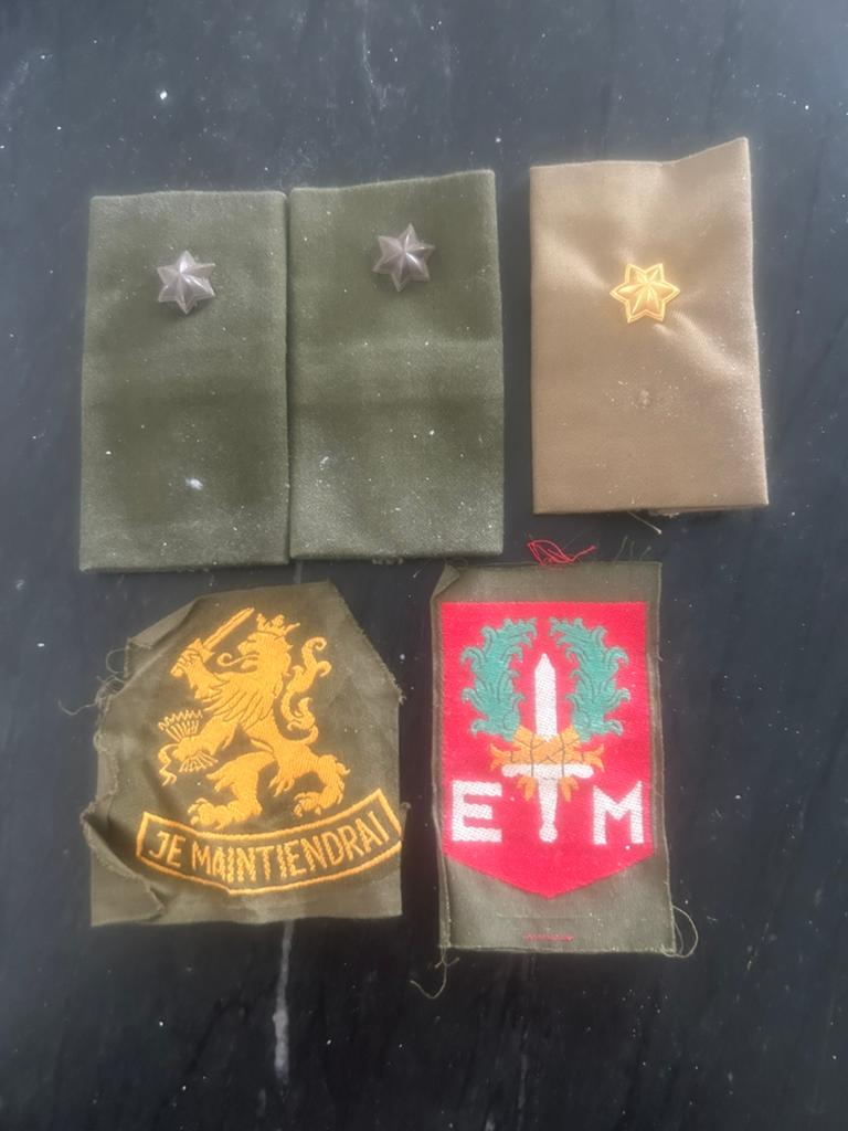 Nederlandse Leger, Ophalen of Verzenden, Landmacht, Nederland, Embleem of Badge