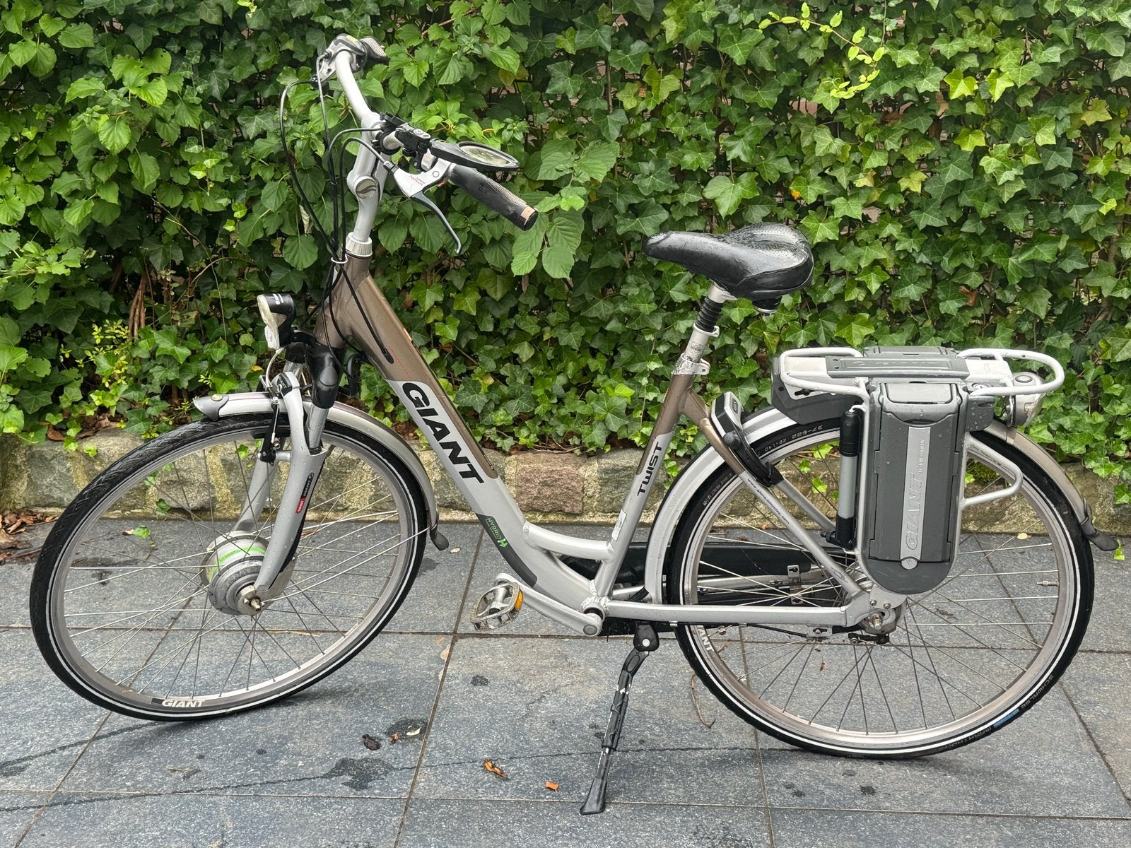 Nette Giant Twist E-bike - Comfortabele elektrische fiets, Ophalen, Gebruikt, Giant, 51 tot 55 cm