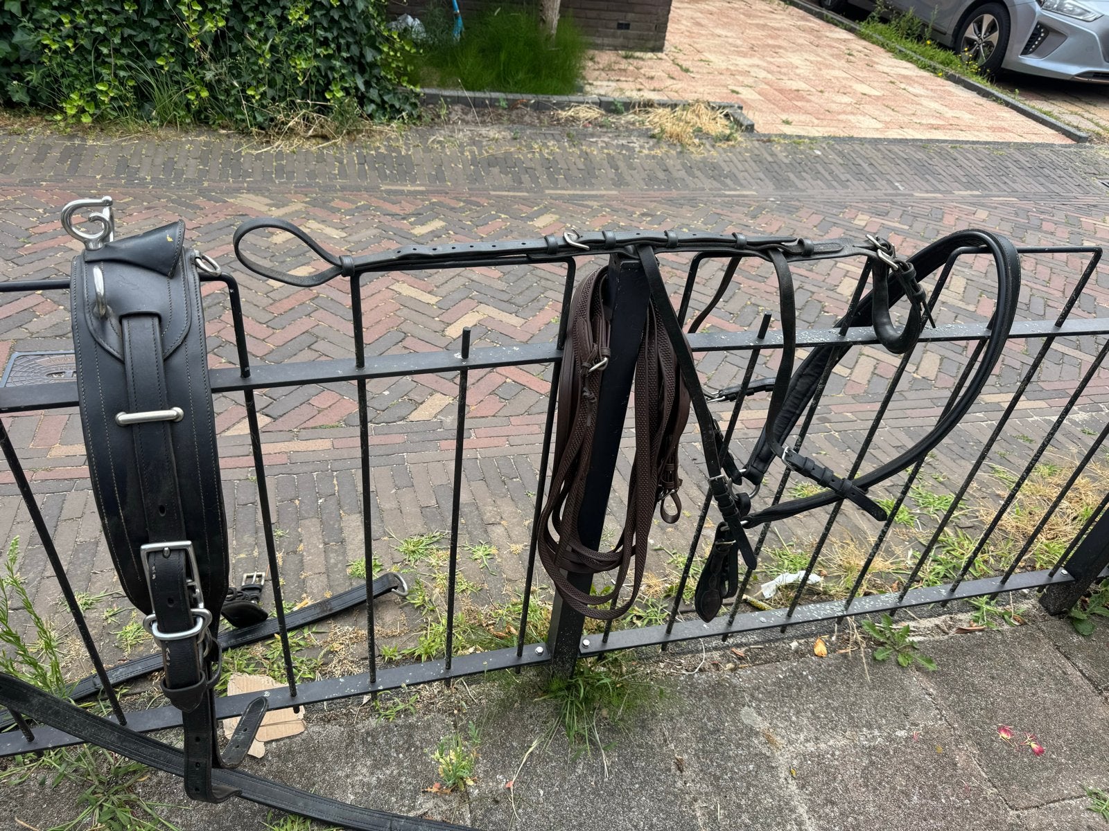 Tuig ideaal full, Dieren en Toebehoren, Ophalen