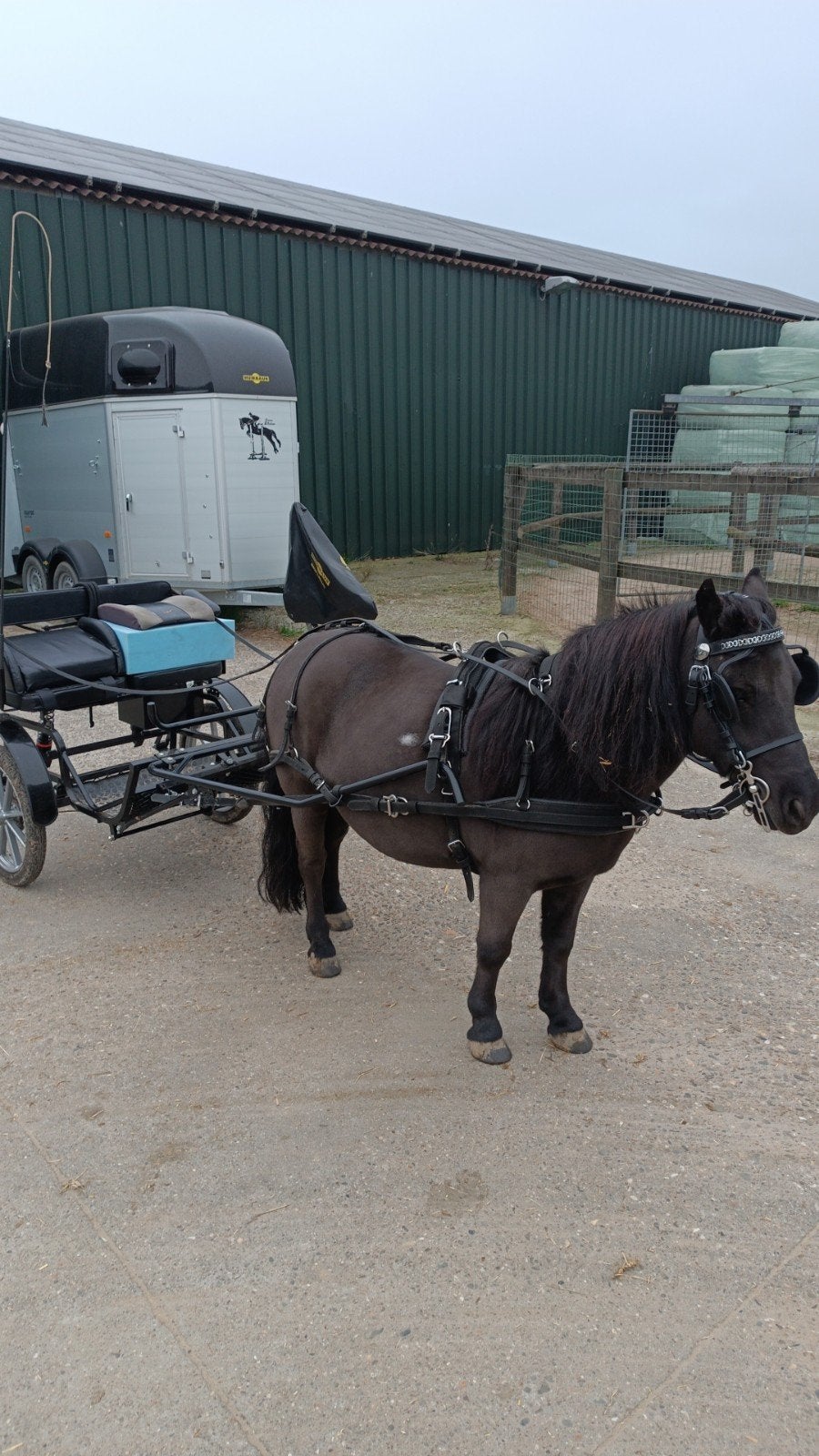 sulky cavalettie, Zo goed als nieuw, Sulky, Pony