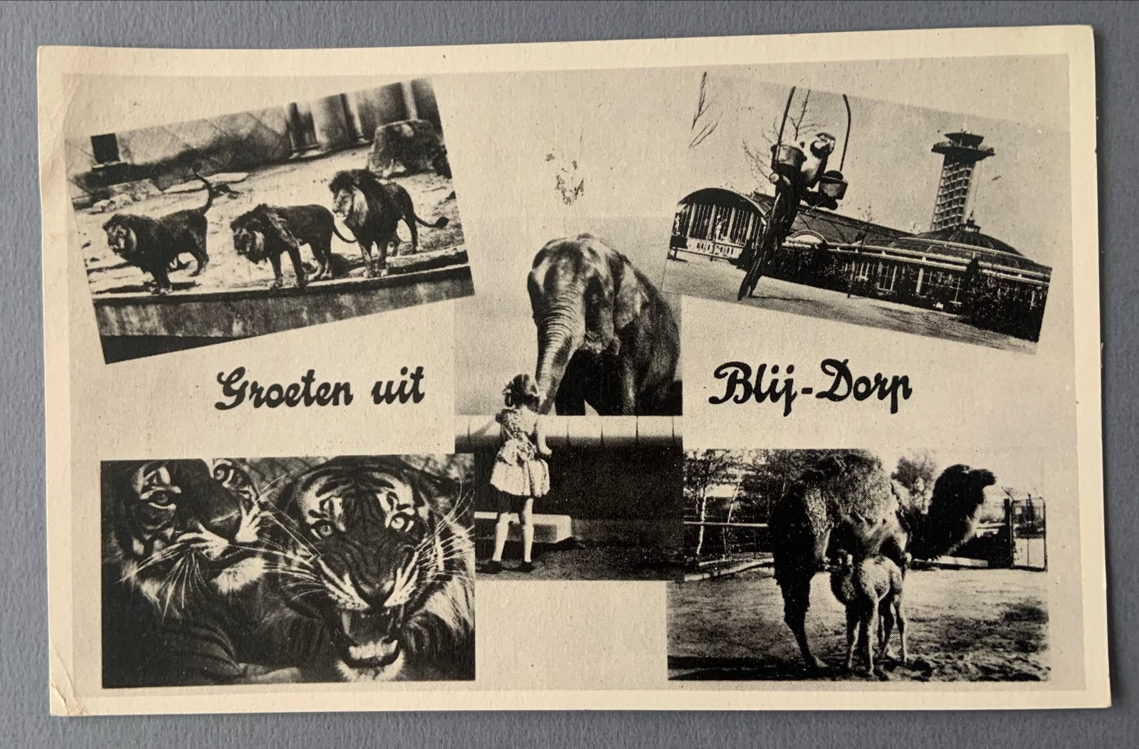 Groeten uit Blijdorp Rotterdam 1959, Verzenden, 1940 tot 1960, Gelopen, Zuid-Holland
