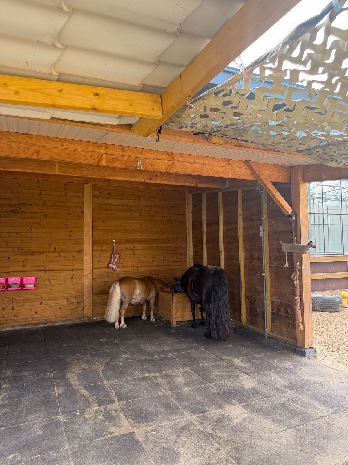 Stalling aangeboden shetlander, Dieren en Toebehoren, Stalling en Weidegang, Stalling, 2 of 3 paarden of pony's