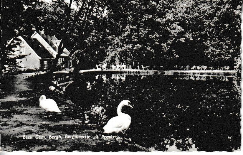 BEEK - BERGMEERTJE 't PEESKE, Verzamelen, Ansichtkaarten | Nederland, Ophalen of Verzenden, 1940 tot 1960, Gelopen, Gelderland