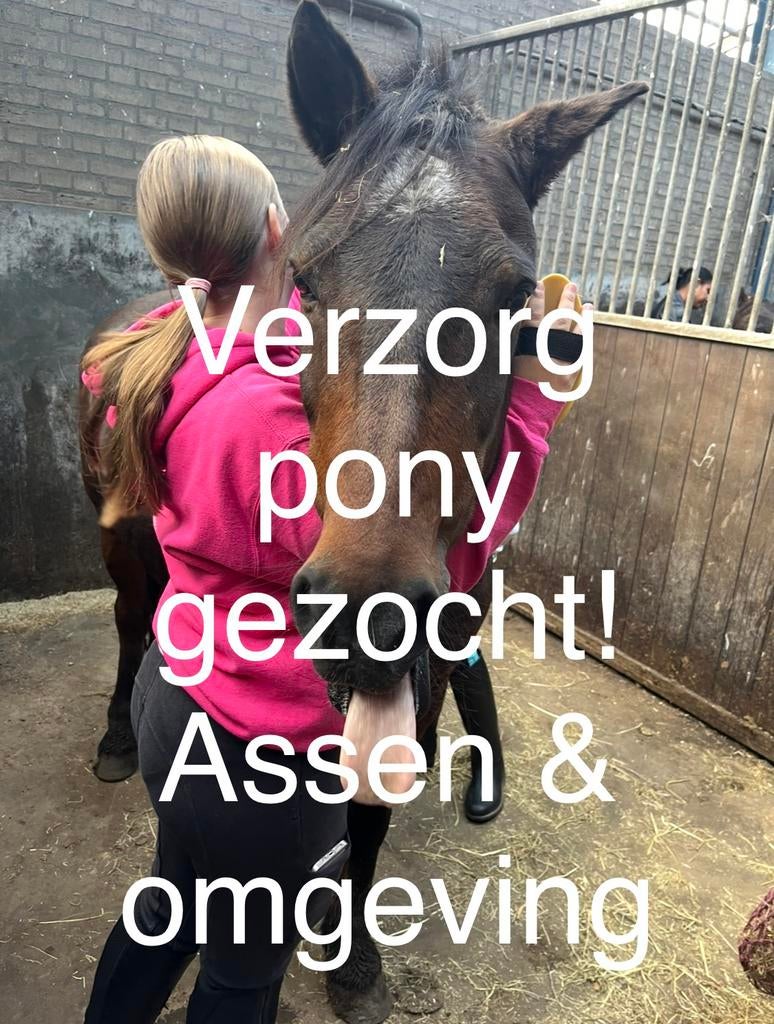 Verzorg pony gezocht