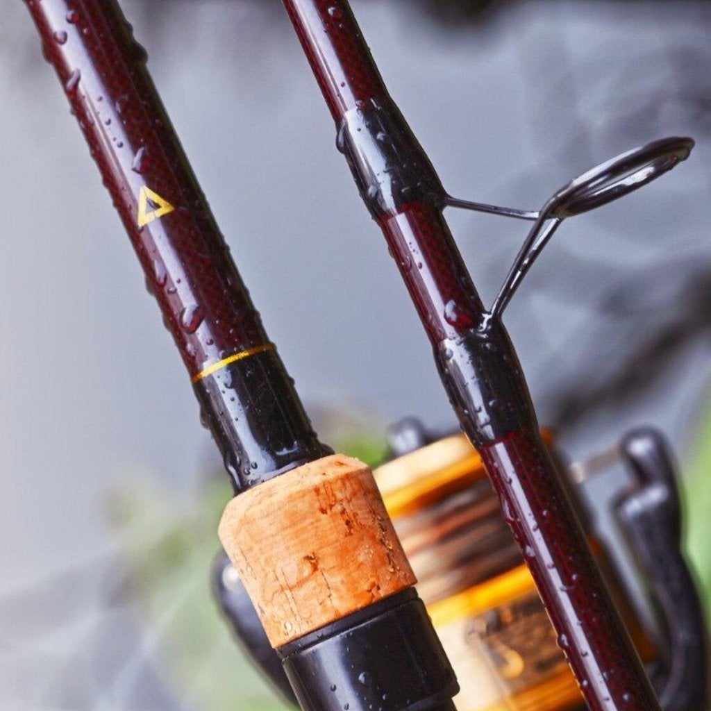 2x Flanx Carp2 12ft 3.50lbs Red Hengels (NIEUW!!), Ophalen, Nieuw, Werphengel