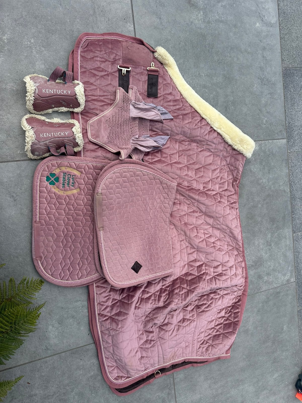 Velvet old rose kentucky set - zo goed als nieuw, Ophalen, Cob (M), Zo goed als nieuw, Kentucky