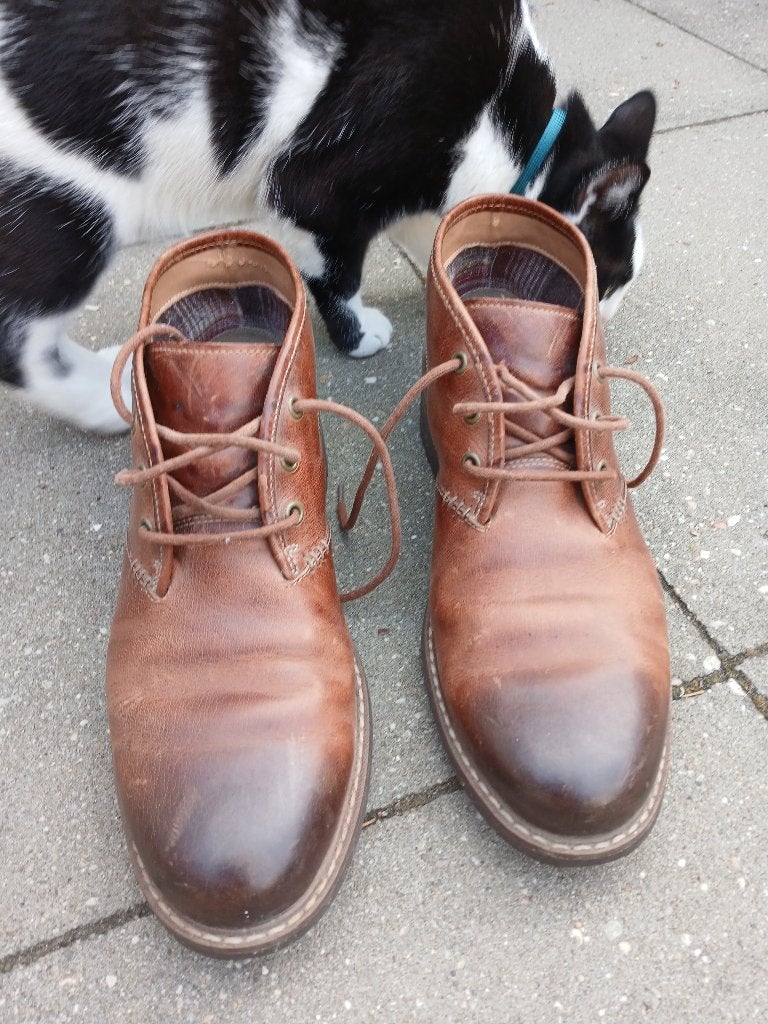 Clarks, leder, maat 43 heren, Kleding | Heren, Schoenen, Bruin, Boots, Clarks, Ophalen of Verzenden