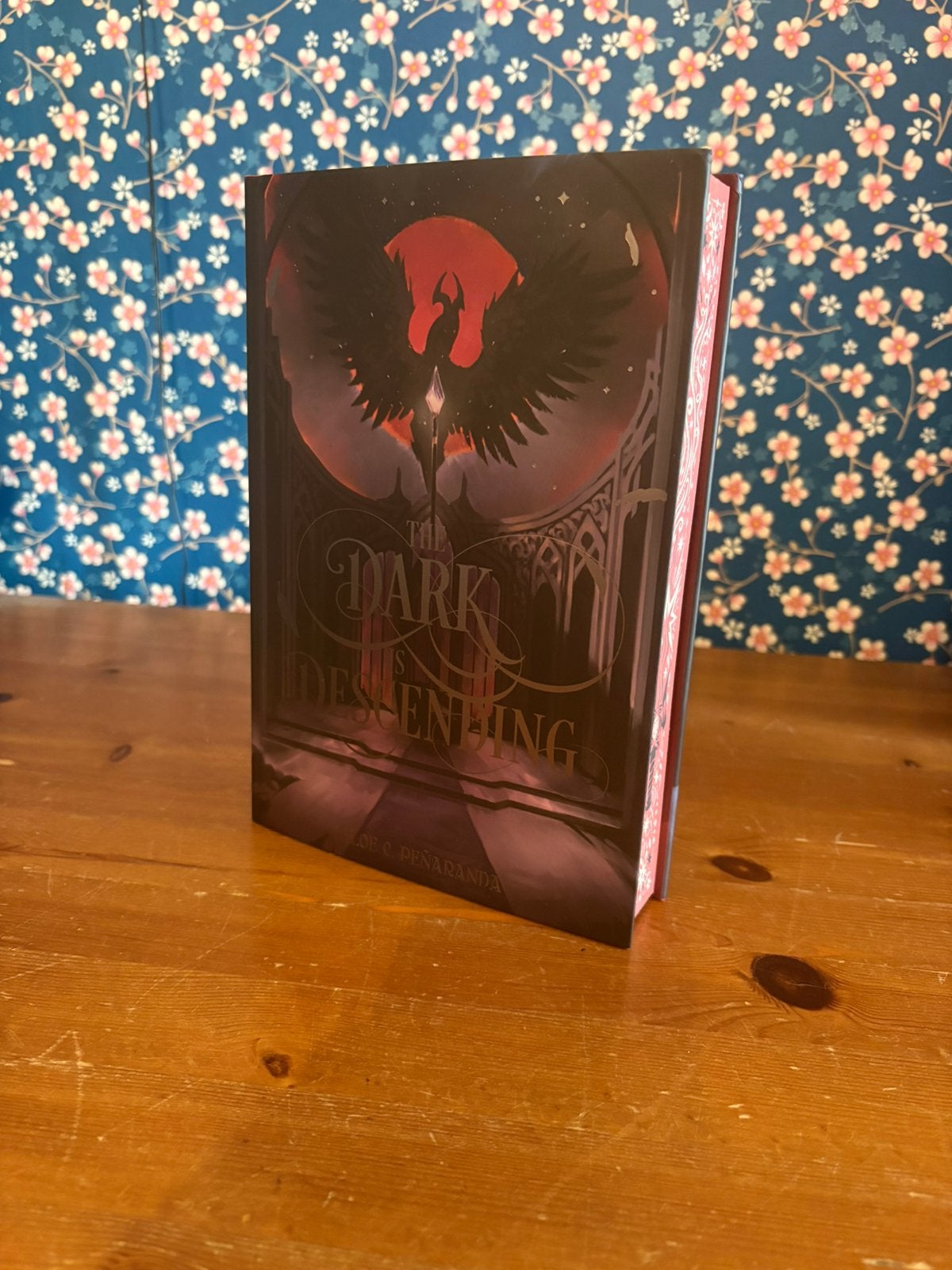 The dark is descending, Boeken, Ophalen of Verzenden, Gelezen