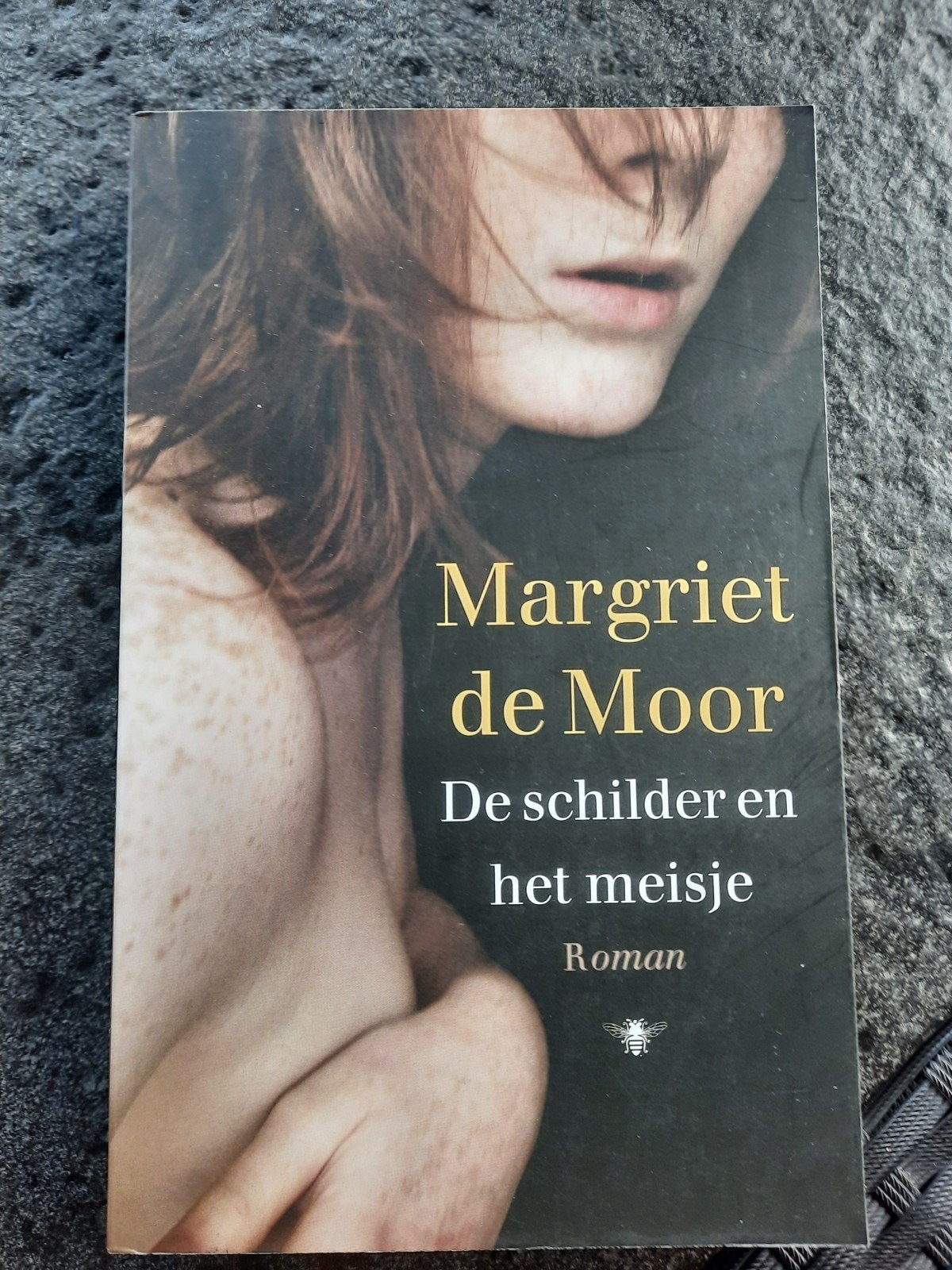 Margriet de Moor - De schilder en het meisje, Ophalen of Verzenden, Zo goed als nieuw, Margriet de Moor