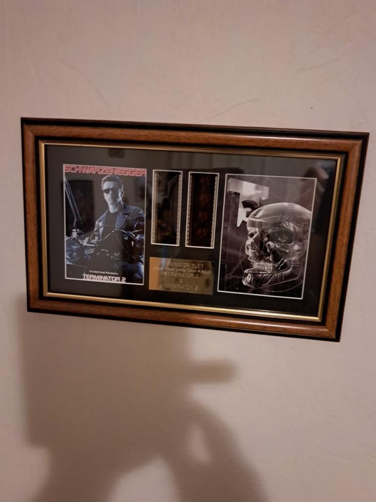 Terminator 2 en terminator 3, Ophalen, Hout, Minder dan 50 cm, Minder dan 50 cm