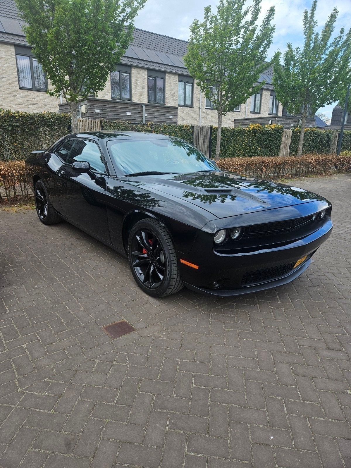 Dodge Challenger, Auto's, Automaat, 309 pk, Zwart, 3600 cc