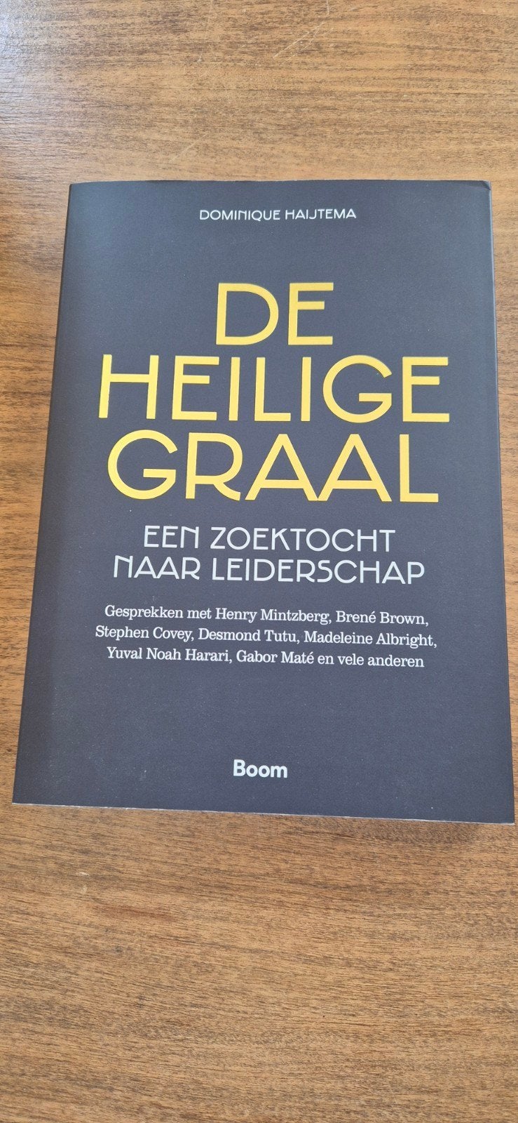 De Heilige Graal: Een Zoektocht naar Leiderschap, Ophalen of Verzenden, Zo goed als nieuw, Dominique Haijtema, Nederland