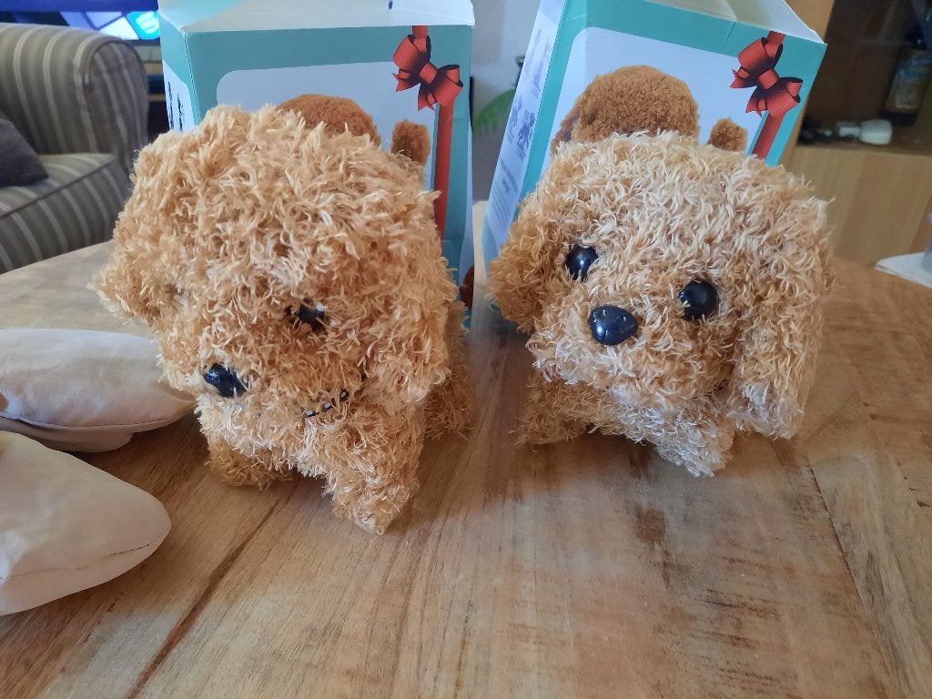 2 super leuke hondjes, gratis nieuwe handschoentjes en muts, Ophalen of Verzenden, Nieuw, Overige typen