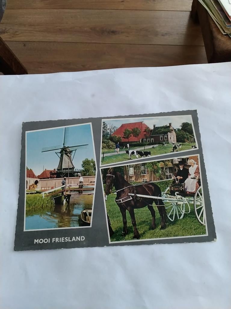 MOOI FRIESLAND     3 AFBEELDINGEN, Ophalen of Verzenden, Friesland