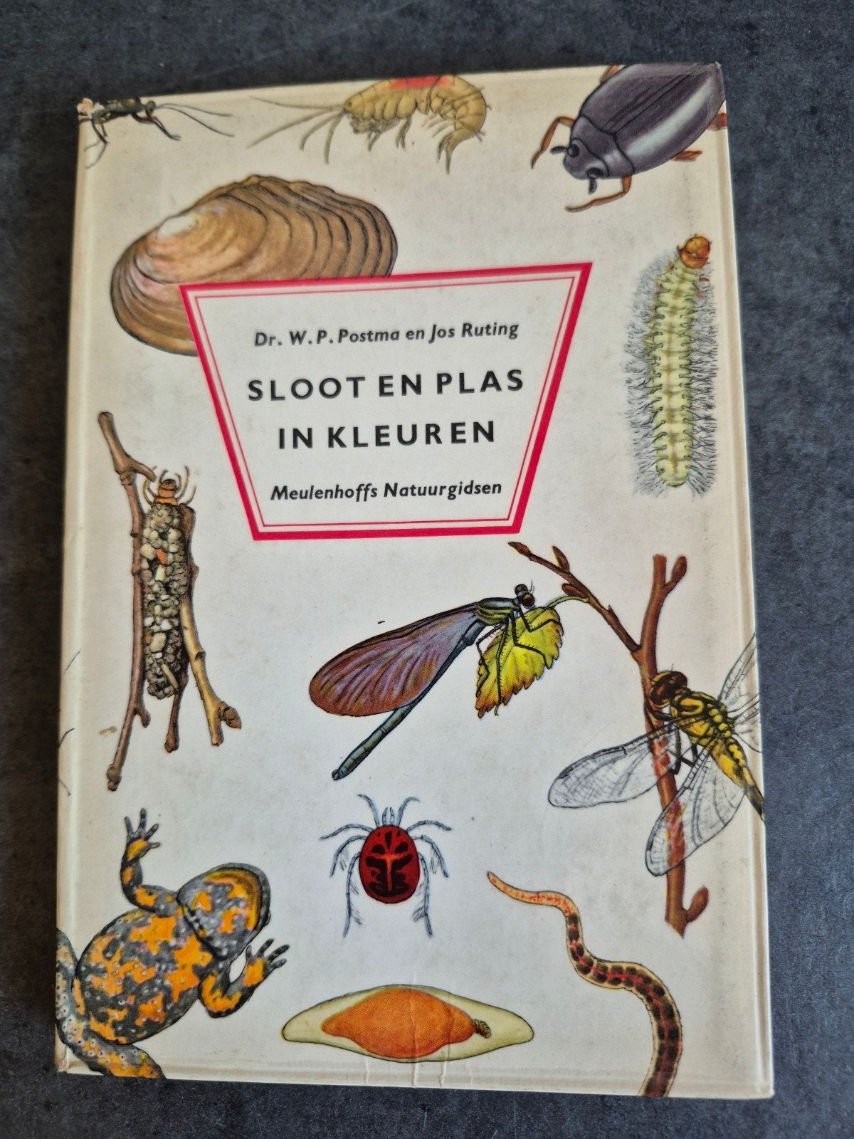 Sloot en plas in kleuren 1958 W.P Postma, Boeken, Ophalen of Verzenden, Gelezen