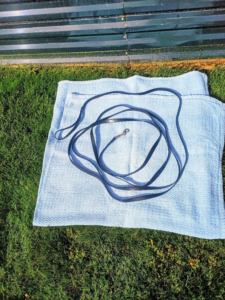 Te koop zeer mooie zwarte vet lederen hond looplijn, Dieren en Toebehoren, Overige merken, Ophalen of Verzenden, Zo goed als nieuw
