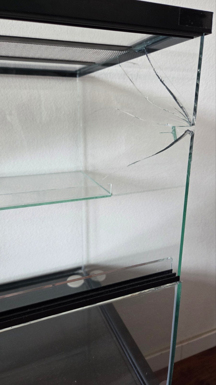 Foto 4 van Terrarium 80x40x50 met barst
