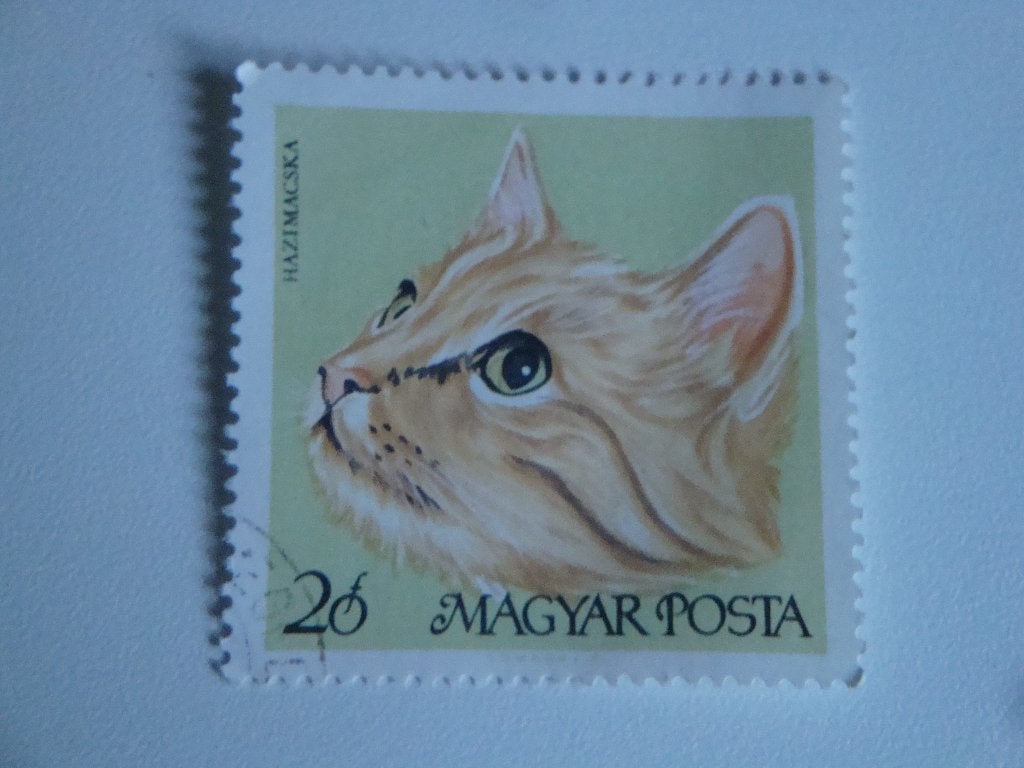 Postzegel 20 Filler Hongarije., Postzegels en Munten, Verzenden, Gestempeld