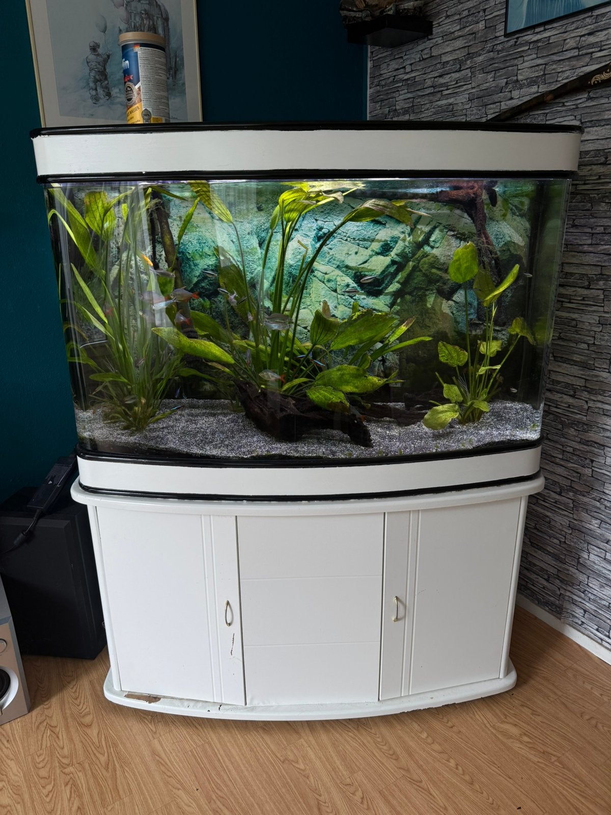 Aqaurium compleet, Ophalen, Gebruikt, Aquariummeubel