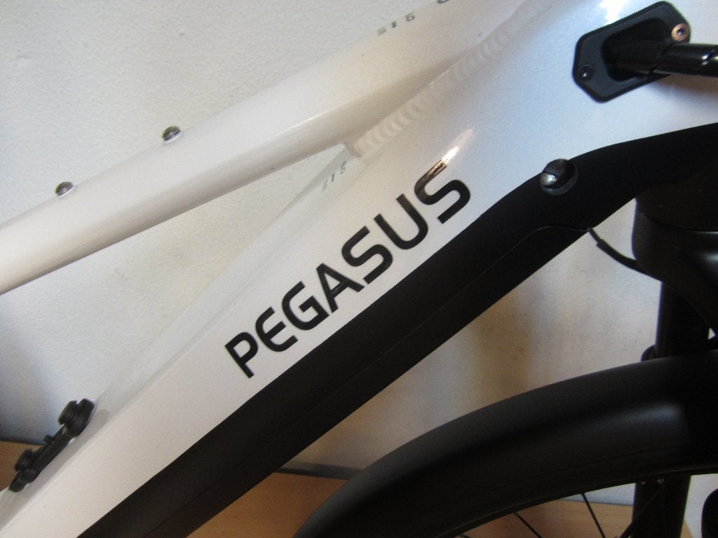 Pegasus Premio  twv 3999 euro     Nieuw, 10 tot 15 versnellingen, 47 tot 50 cm, Nieuw, Ophalen