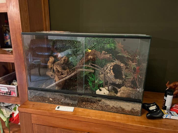 Terrarium, Ophalen, Gebruikt, Verlichting