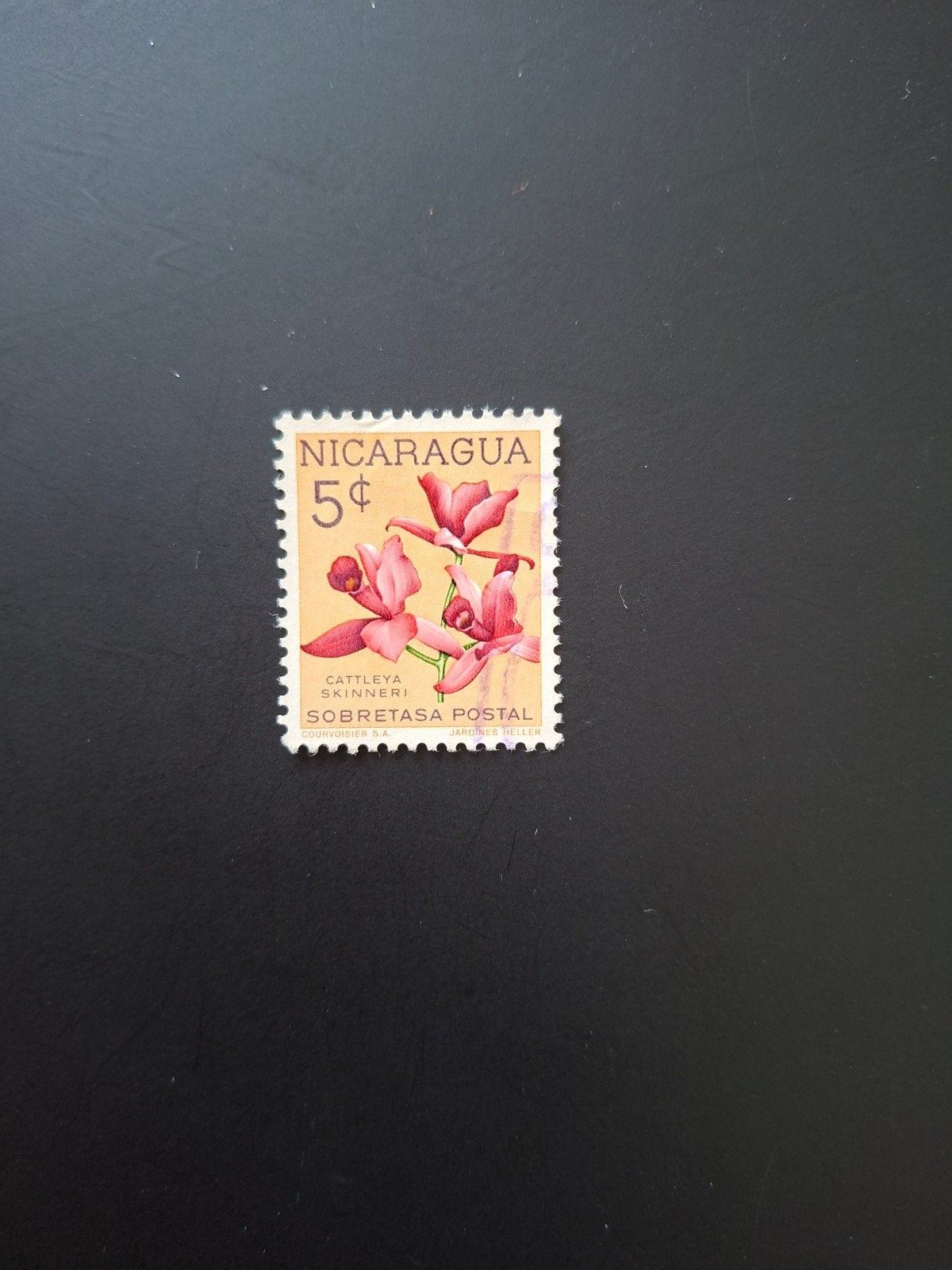Nicaragua.  Bloemen., Ophalen of Verzenden, Dier of Natuur