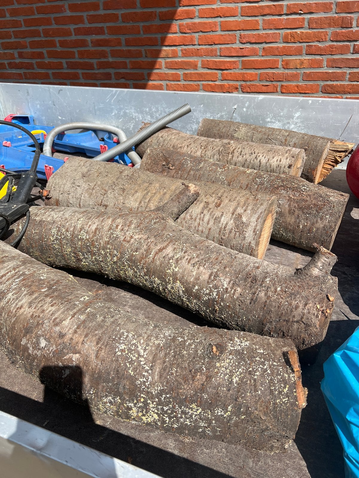 Gedroogd berkenhout te koop voor 75 euro, Tuin en Terras, Minder dan 3 m³, Ophalen of Verzenden, Berkenhout, Stammen