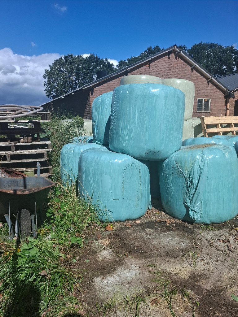 Kuilgras kleine baaltjes te koop 1ste snee, Ophalen, Vee