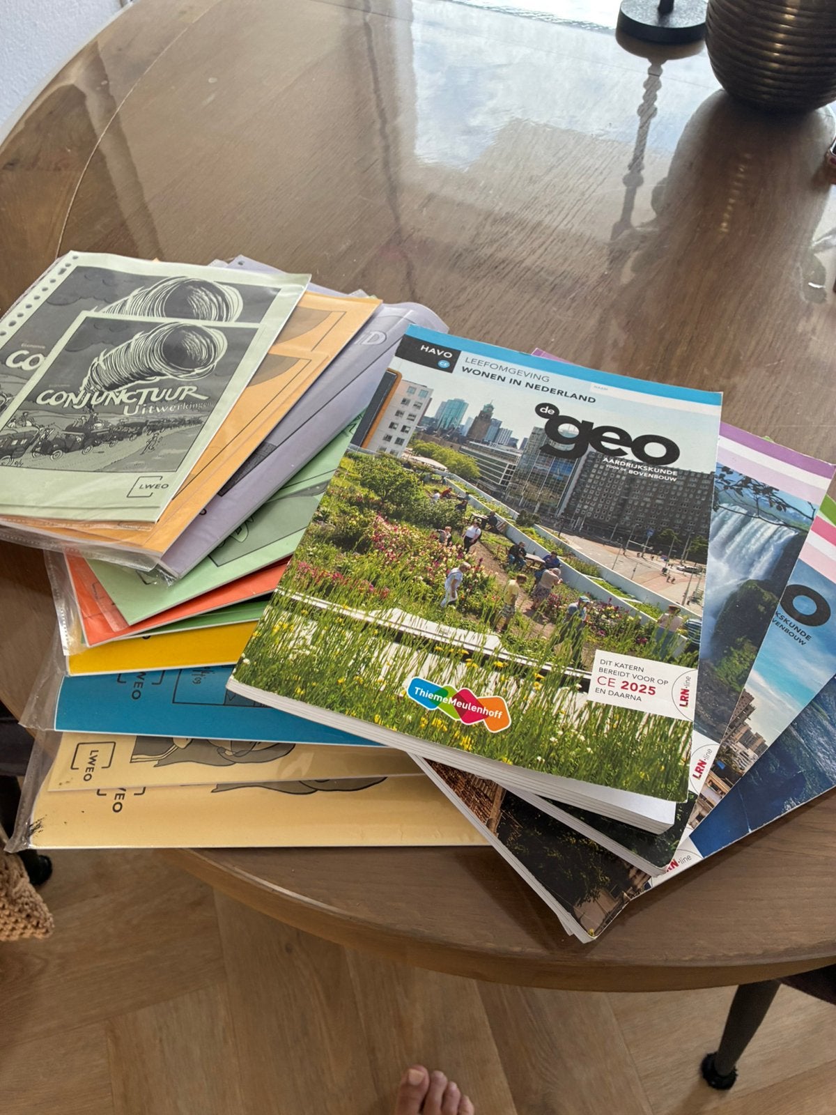 Vavo Havo LWEO Schoolboeken Economie Aardrijkskunde, Boeken, Ophalen of Verzenden, Zo goed als nieuw, HAVO, Aardrijkskunde