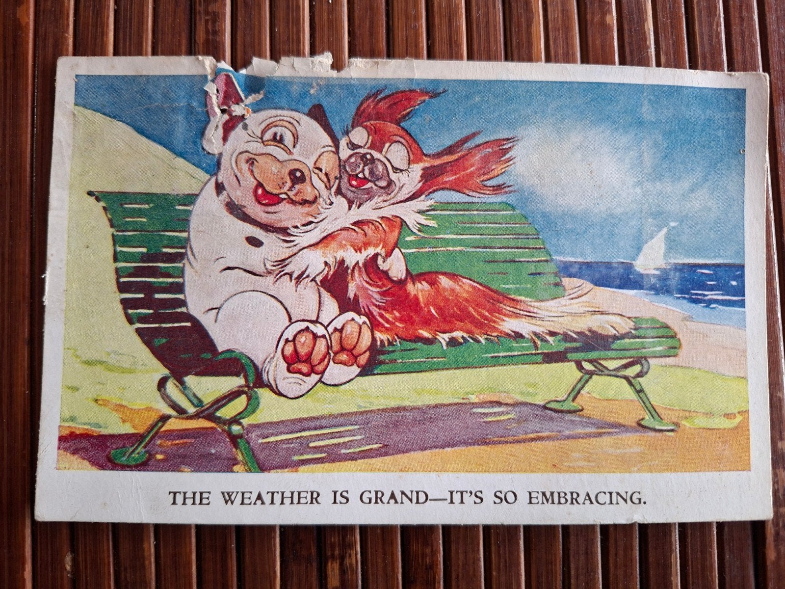 Oude ansichtkaart: The Weather Is Grand - It's So Embracing, Verzamelen, Ophalen of Verzenden, Voor 1920, Gelopen, Natuur
