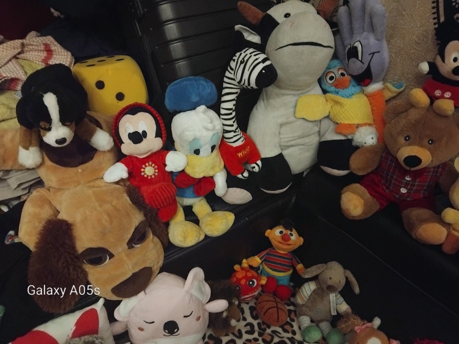 Grote verzameling merkknuffels (30+ stuks) – Pokémon, Disney, Overige typen, Ophalen of Verzenden, Pokémon, Middelgroot (20 tot 80 cm)