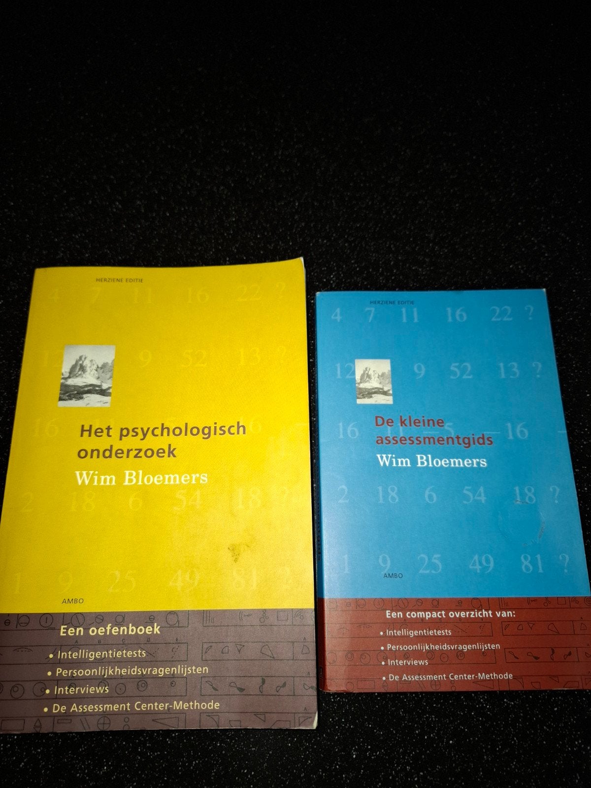 Oefenboeken, psychologisch onderzoek en assessmentgids., Boeken, Ophalen of Verzenden, Beta, Zo goed als nieuw, HBO