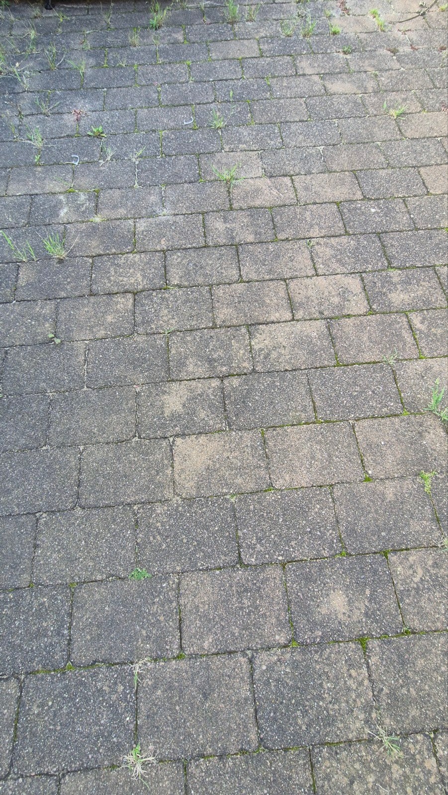 Gratis klinkers 47m2 20x30 cm - zelf ophalen eind oktober, Tuin en Terras, Ophalen, Gebruikt