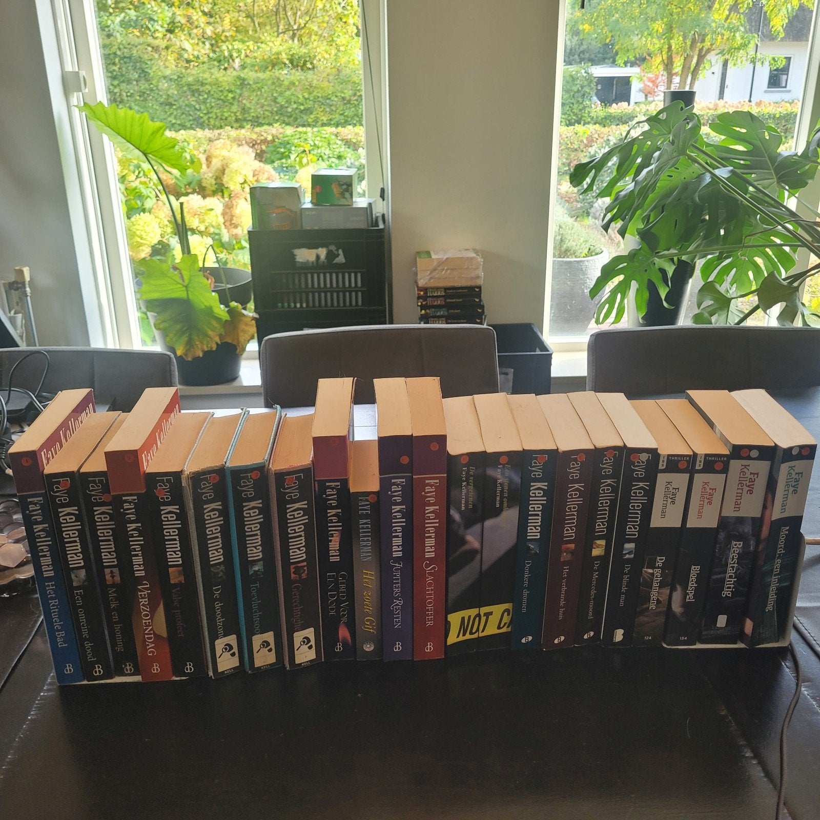Faye Kellerman boekenreeks deel 1 t/m 22, Boeken, Ophalen of Verzenden, Gelezen, Faye Kellerman, Nederland