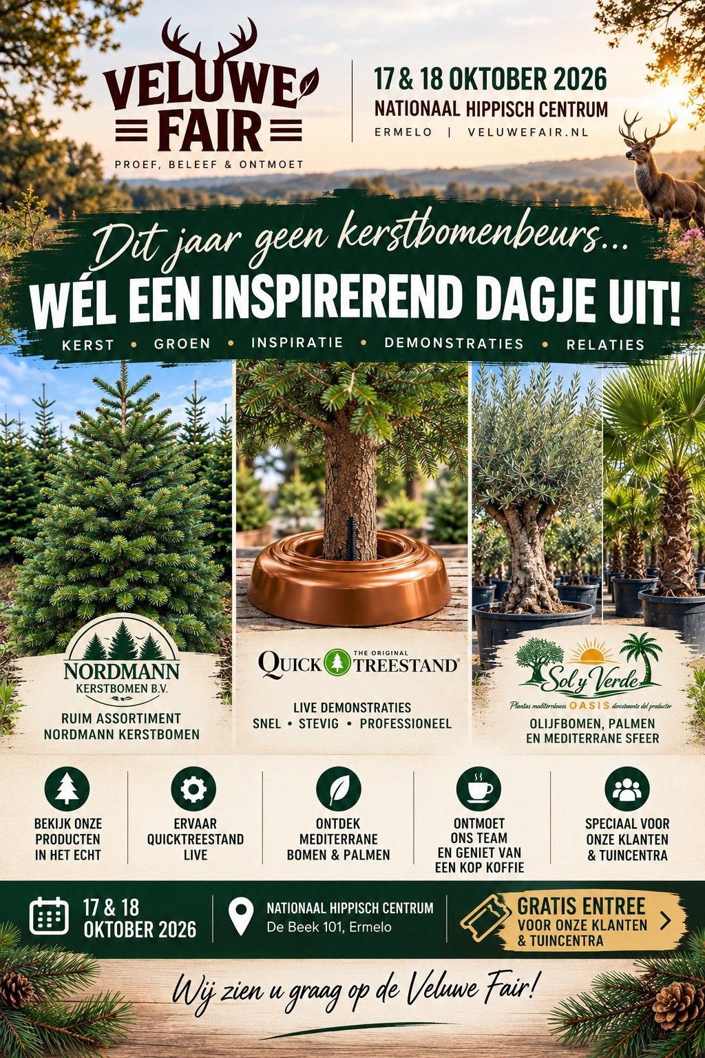 Olijfboom strakke stam en bol 45lt pot, Overige soorten, Volle zon, Vaste plant, Ophalen of Verzenden