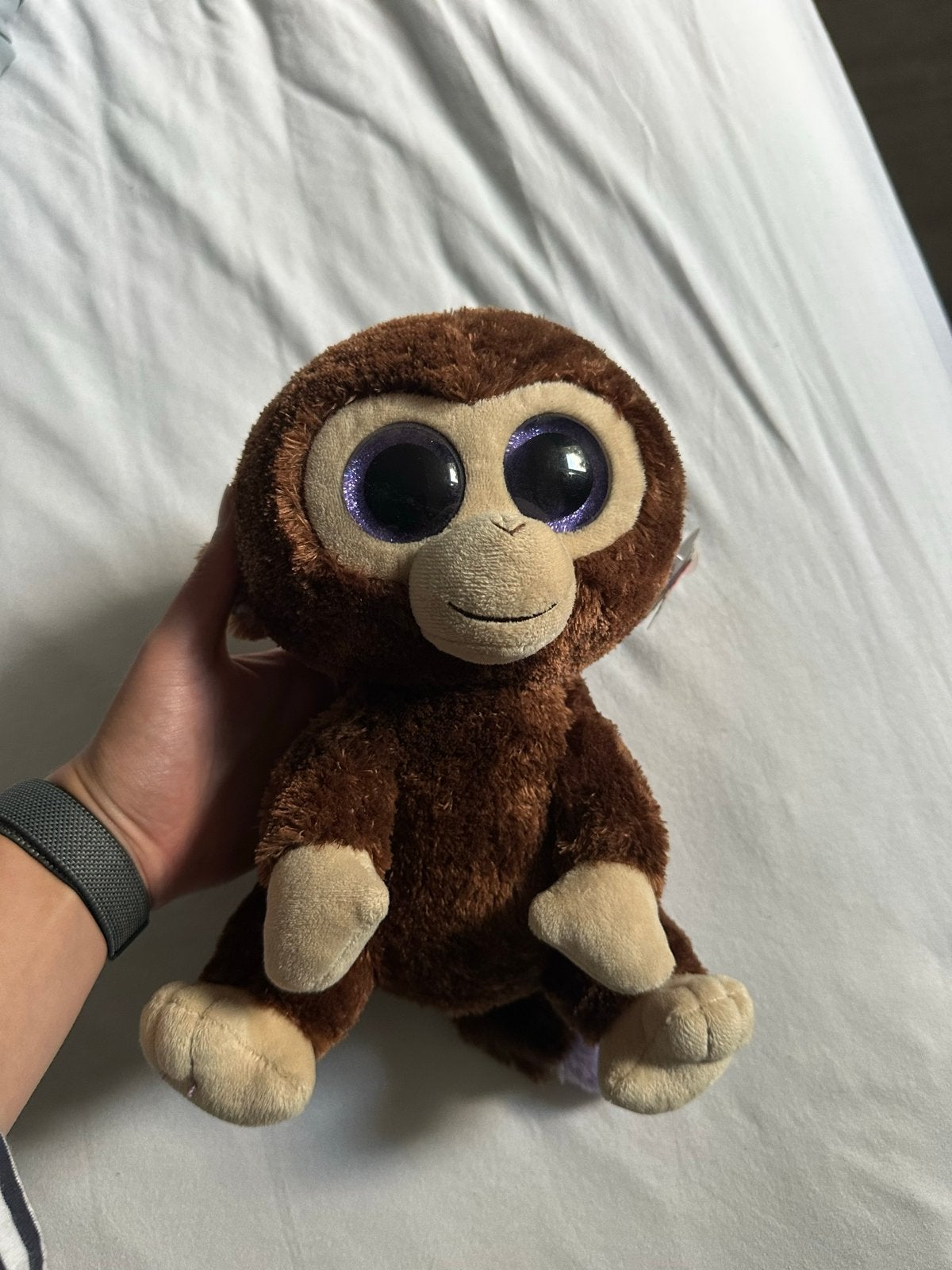 Nieuwe Ty Beanie Boo Coconut Aap Knuffel met Label, Ophalen, Overige karakters, Nieuw, Met label