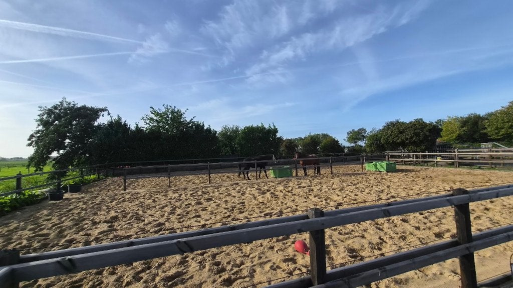 2 paardenstallen te huur, Dieren en Toebehoren, Stalling, 2 of 3 paarden of pony's