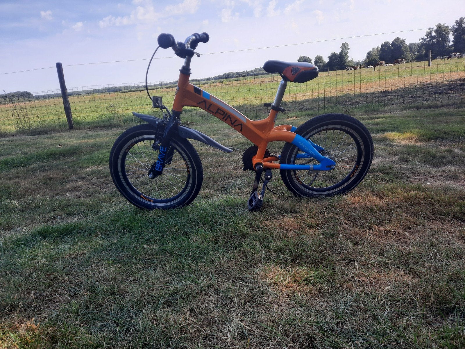 Alpina kinderfiets 16 inch - Oranje/Blauw, Fietsen en Brommers, Ophalen, Terugtraprem, Gebruikt, Alpina