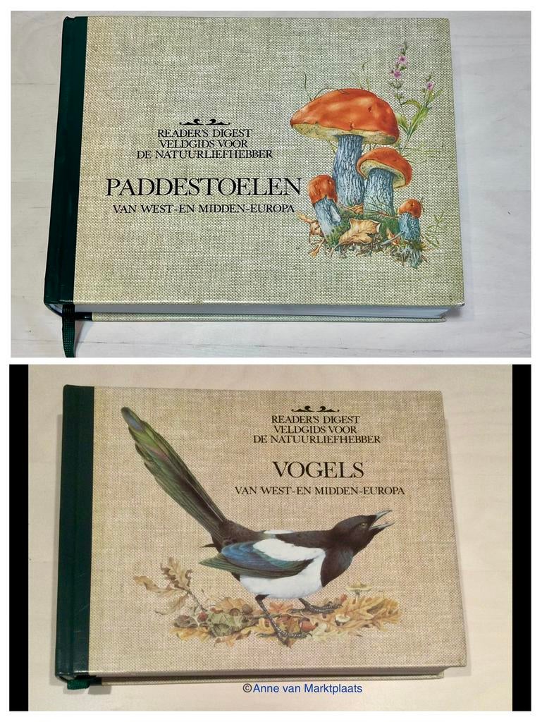Readers Digest vogels en paddenstoelen natuurgids, Ophalen of Verzenden, Zo goed als nieuw, Vogels