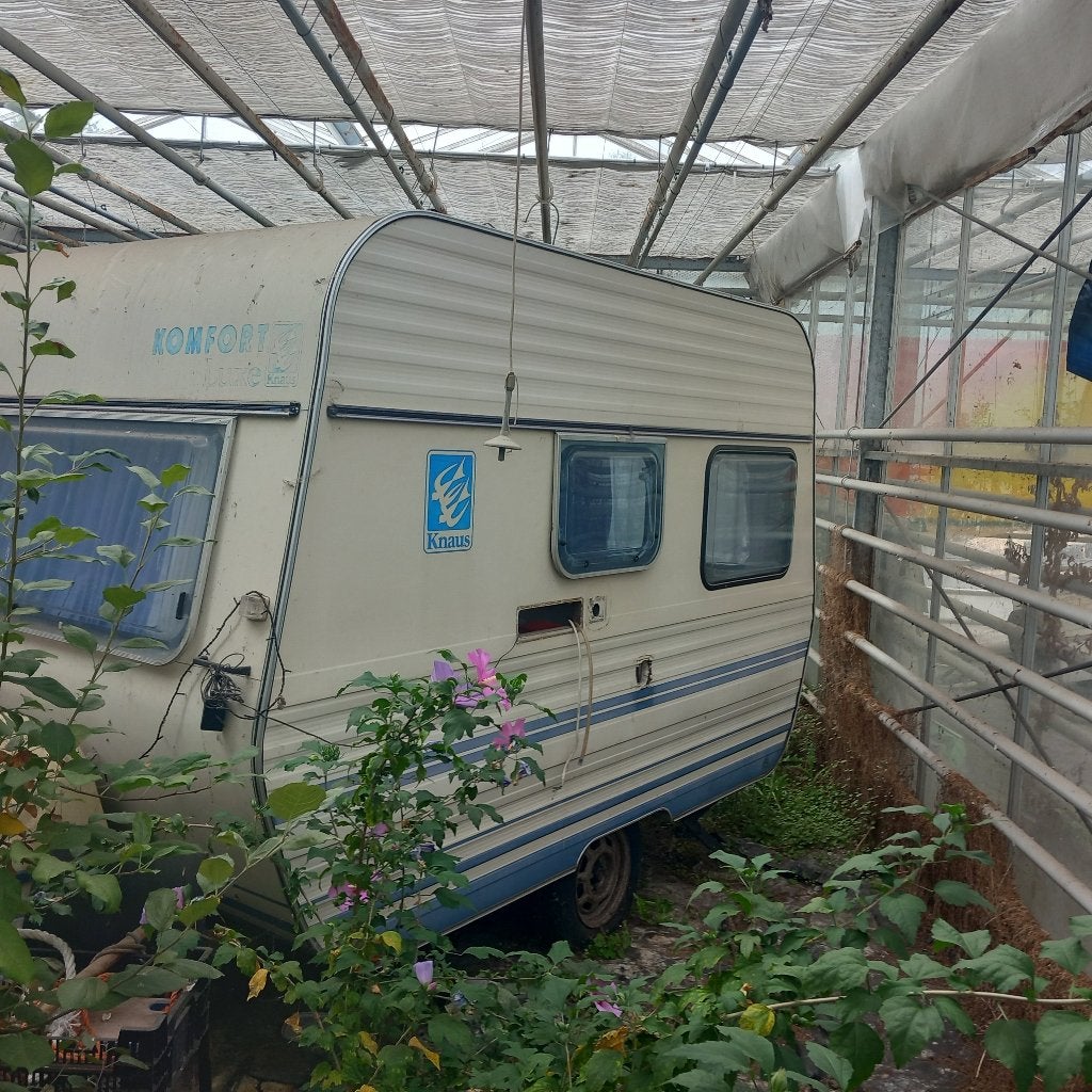 Oldtimer caravan knaus comfort 1980, Ophalen of Verzenden, Gebruikt