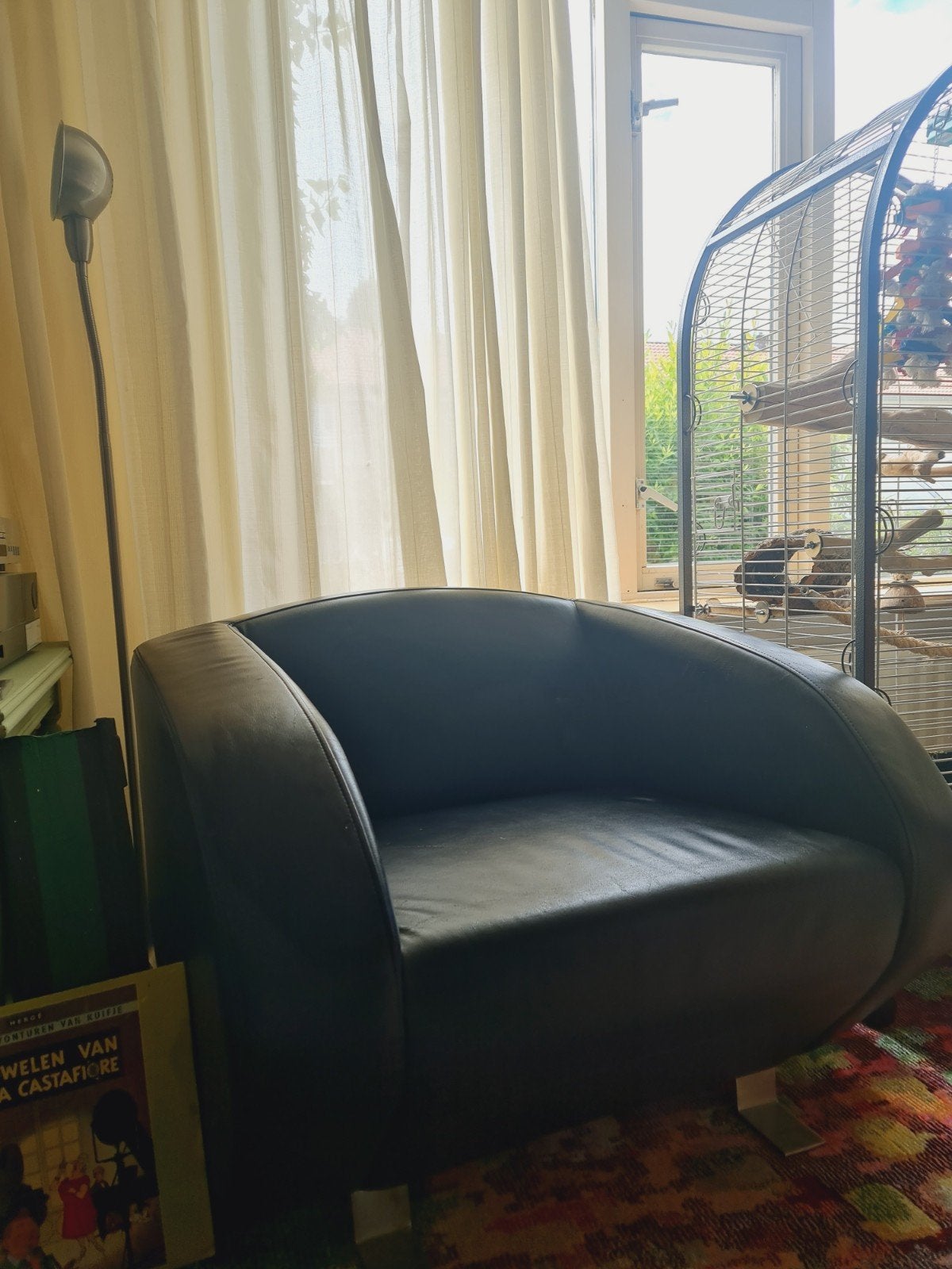 Leren design stoel, Ophalen, Leer