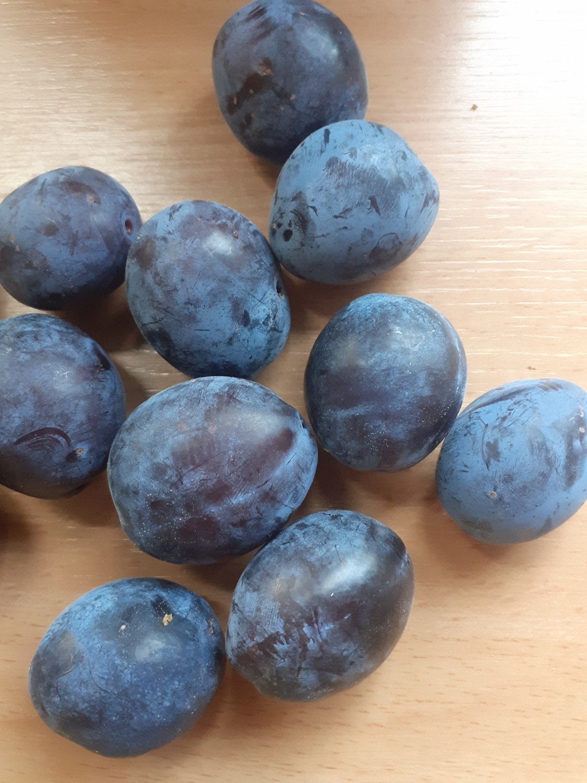 blauwe pruimen biologisch, Diversen, Levensmiddelen, Ophalen