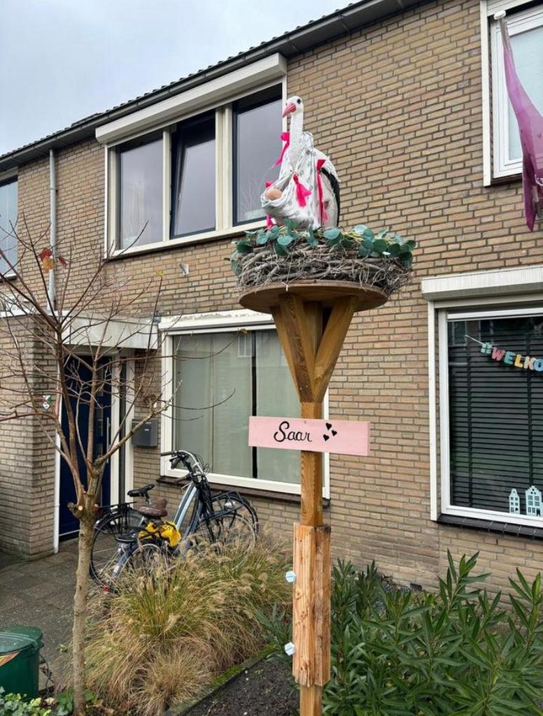 Voor aankondiging geboorte: Groot ooievaarsnest te huur:, Ophalen, Gebruikt