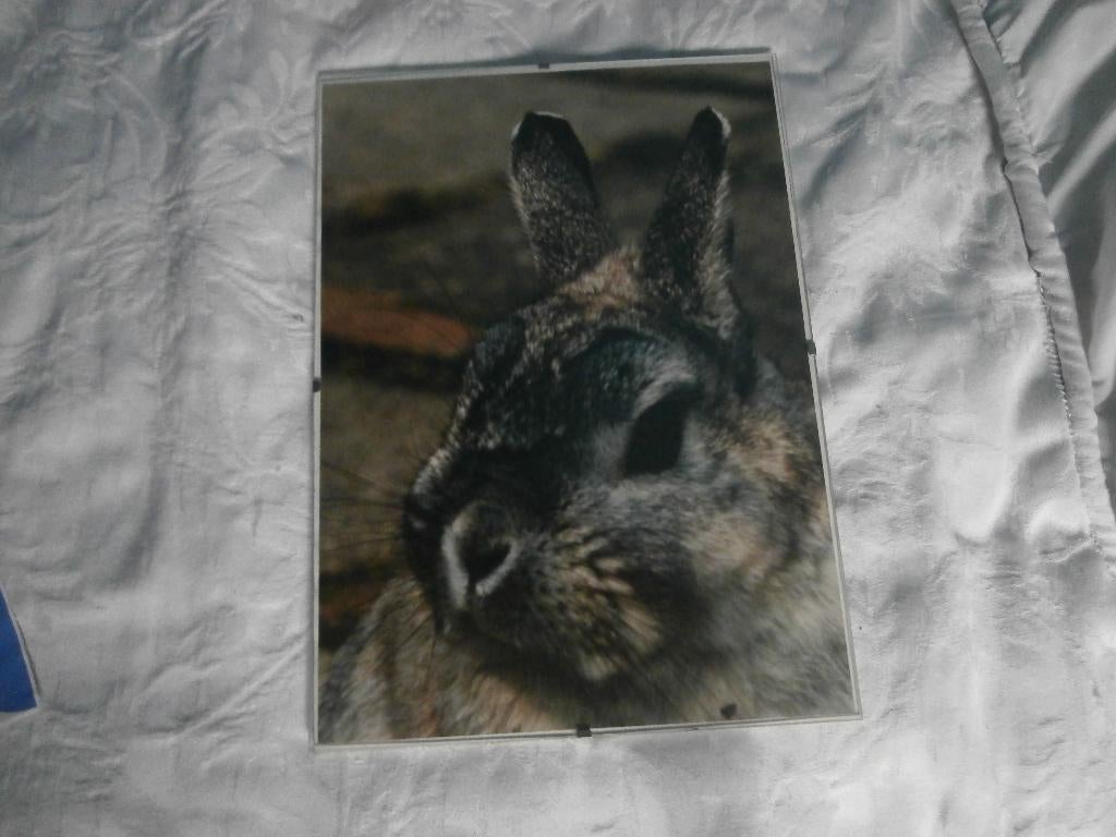 lijst van glas  glazen wissellijst maat 20 x 28 cm fotolijst, Huis en Inrichting, Overige materialen, Minder dan 50 cm, Ophalen of Verzenden