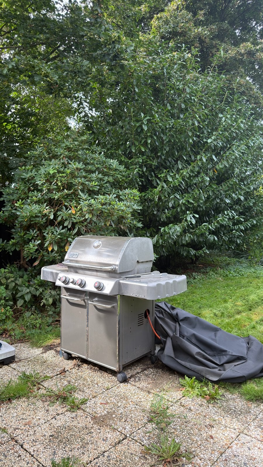 Weber Genesis Gasbarbecue - Gebruikt, Tuin en Terras, Ophalen of Verzenden, Gebruikt