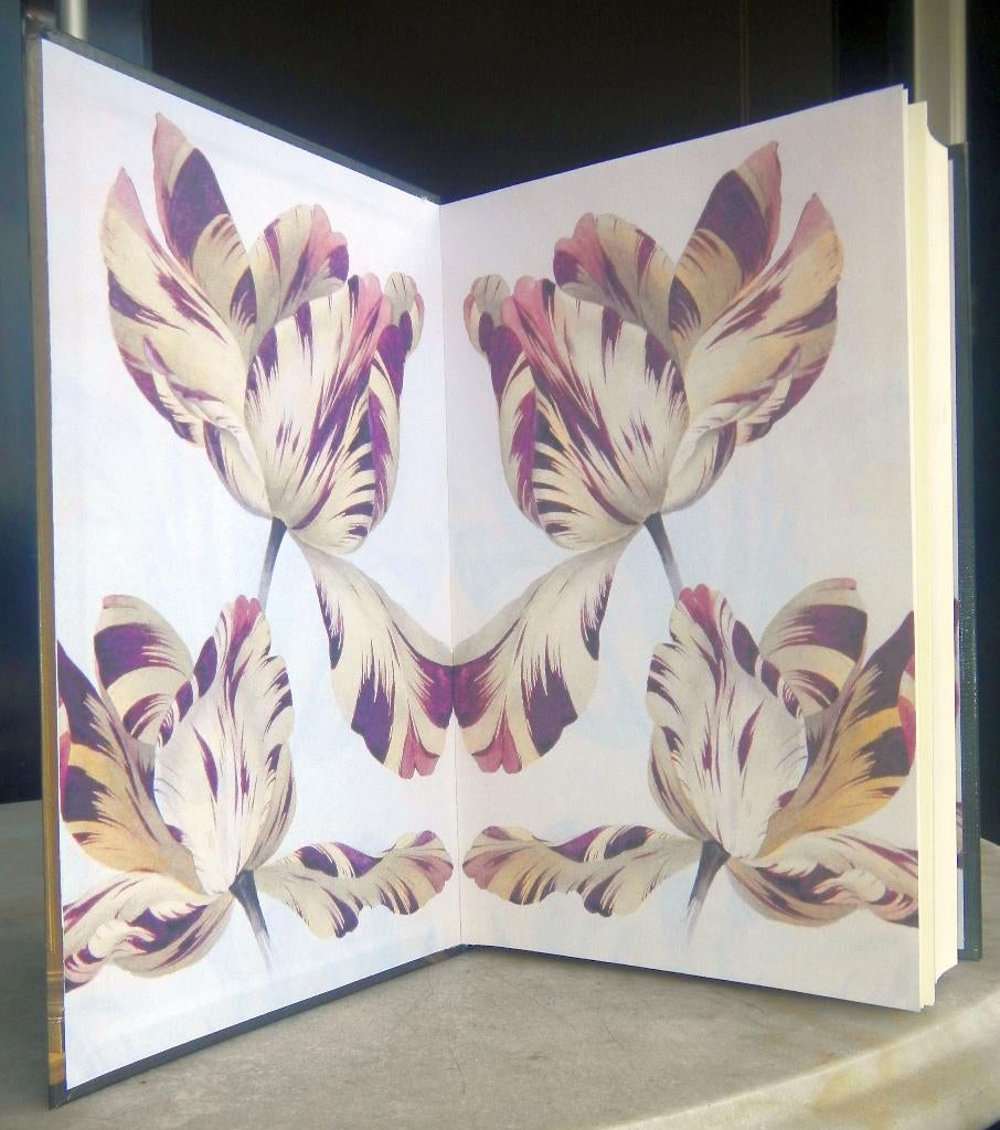 Pavord, Anne - De Tulp (2003)  , Ophalen of Verzenden, Nieuw