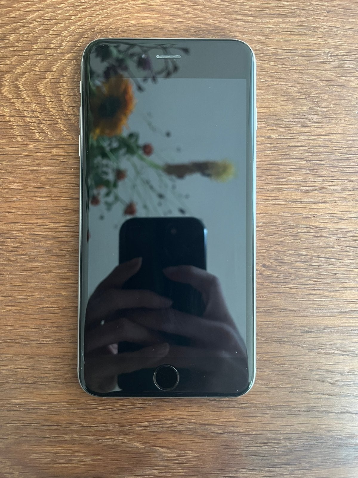 iPhone 6s Plus | zilver | 16GB | inclusief hoesje, Gebruikt, 16 GB, Ophalen of Verzenden, Zonder simlock
