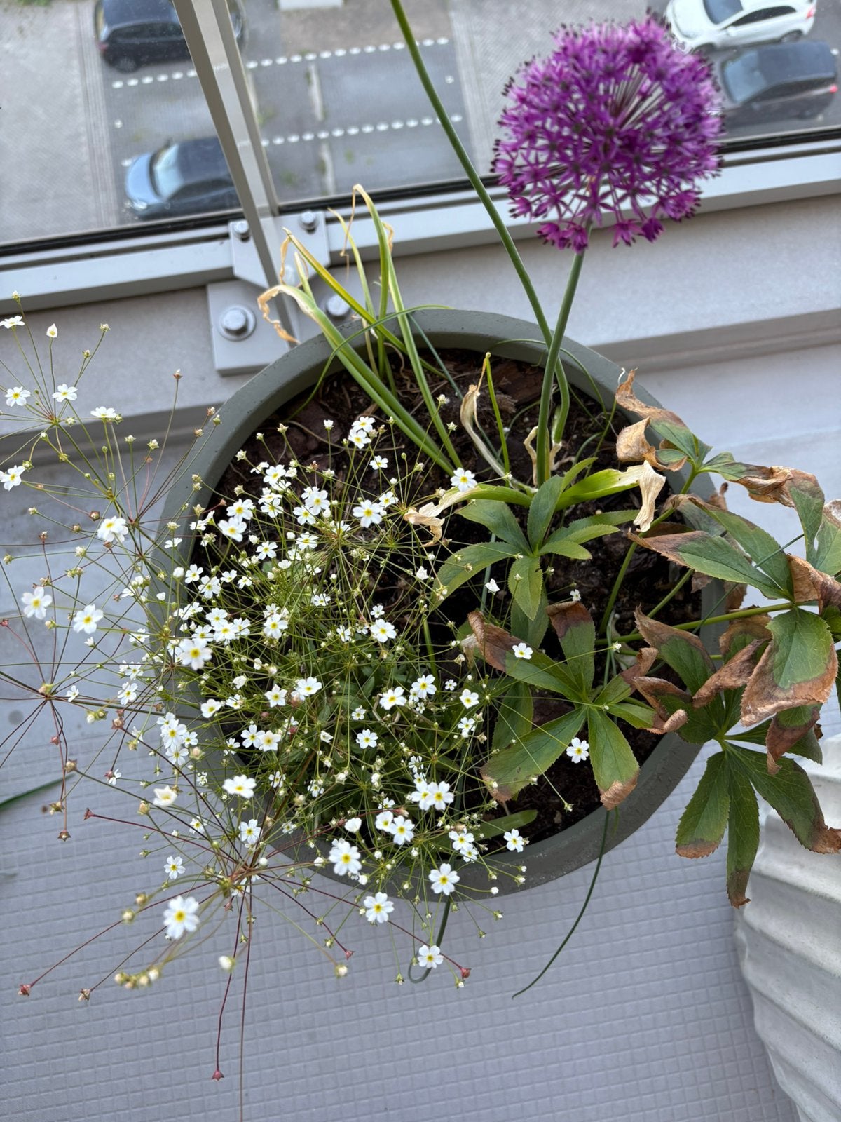 Bloempot groen, Tuin en Terras, Ophalen, Overige materialen, Gebruikt, Rond